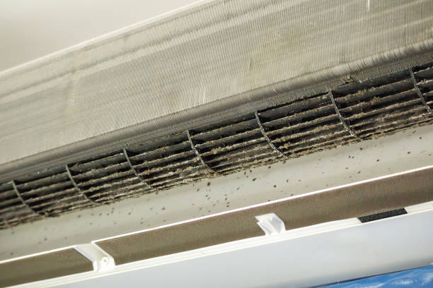 Best Air Vent Cleaning Services  in Lawrence, NY